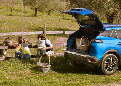 https://www.maggiore.it/web/upload/banner/Automatiche_490x350_marzo2025-it-2-1742549125.jpg